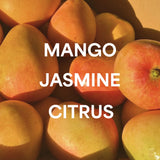 RECREATION BONDI BEACH - All Over Body & Hair Mist - Midnight Mango