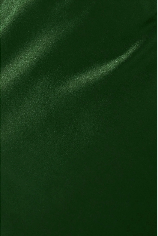 Shona Joy - Viridian Silk Shirt - Dark Green