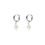 SILK & STEEL - Allure Hoop Earrings | Silver