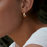 AMBER SCEATS - Waterlily Earrings | Gold