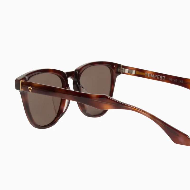 Valley Eyewear - Tempest Timeless Tort - Matte Gold Metal Trim / Brown Lens